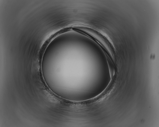 X0000091560973200708241812