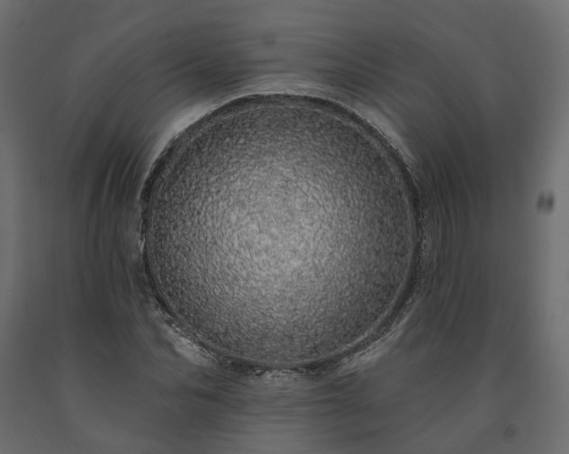 X0000091560974200708241812