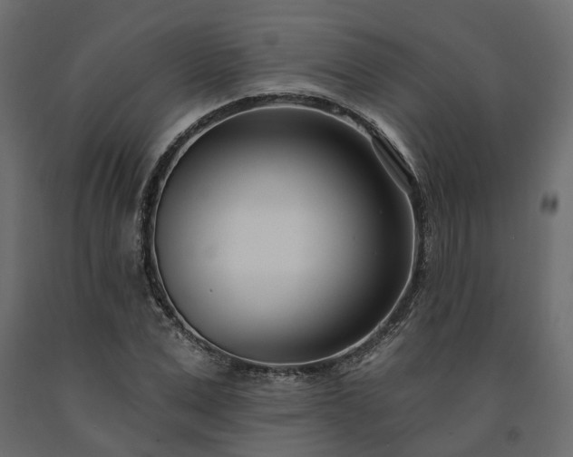 X0000091560975200708241812