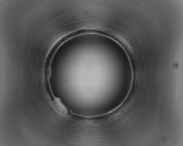 X0000091560976200708241812