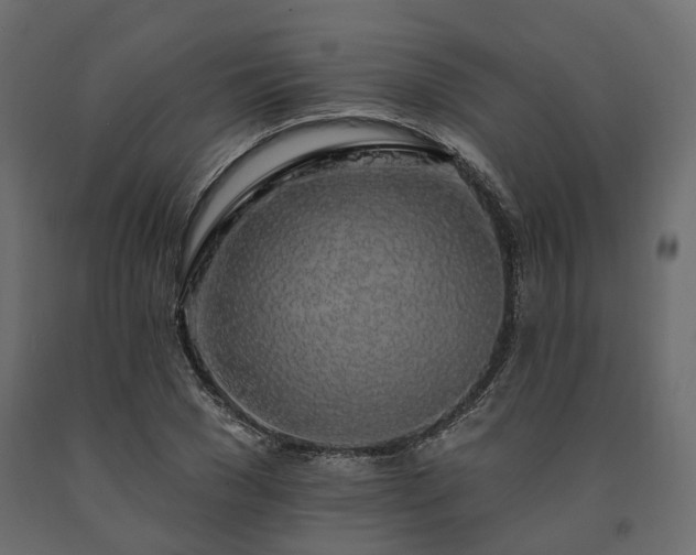 X0000091560977200708241812