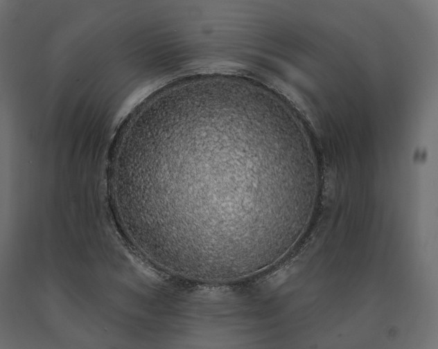 X0000091560978200708241812