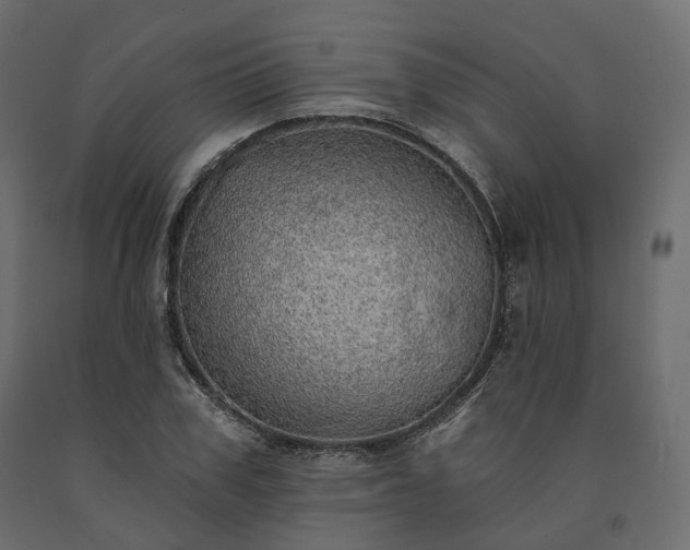 X0000091560979200708241812