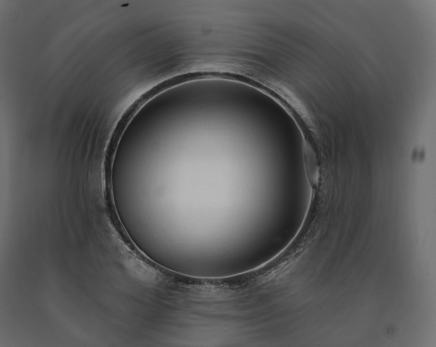 X0000091560980200708241812