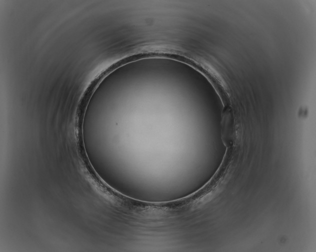 X0000091560981200708241812