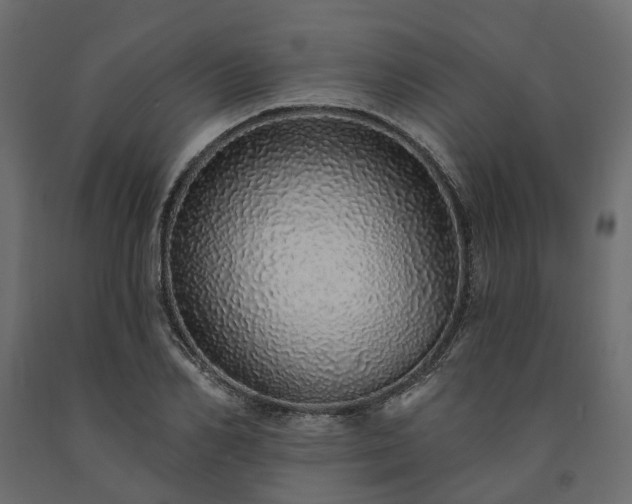 X0000091560982200708241812