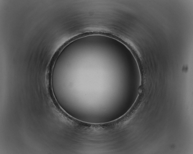 X0000091560983200708241812