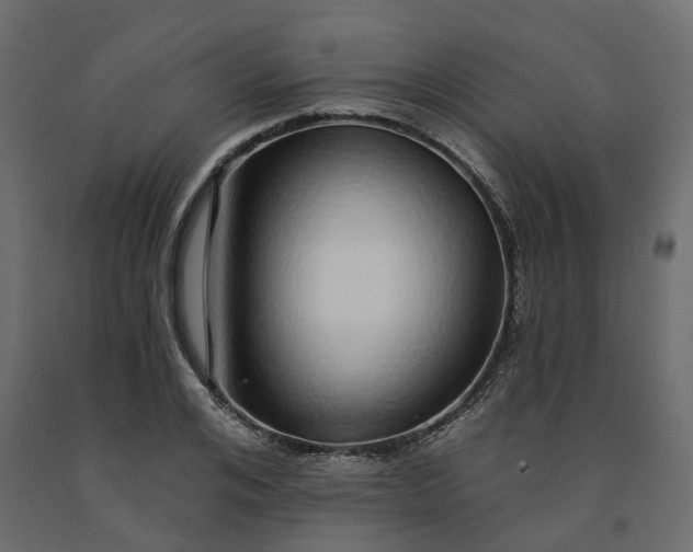 X0000091560984200708241812