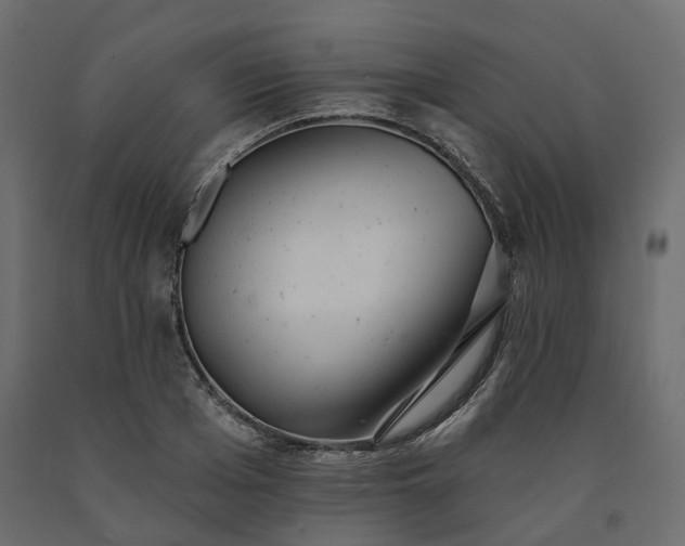 X0000091560985200708241812