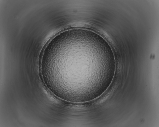 X0000091560986200708241812