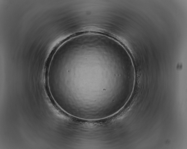 X0000091560987200708241812