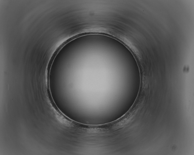 X0000091560988200708241812