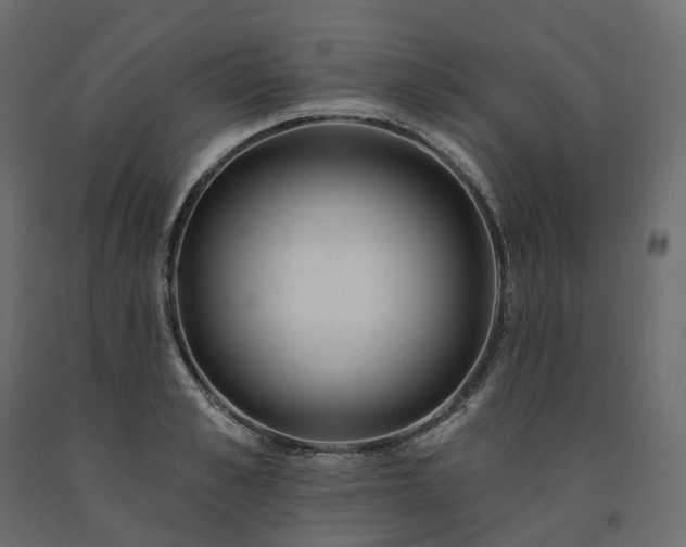 X0000091560989200708241812