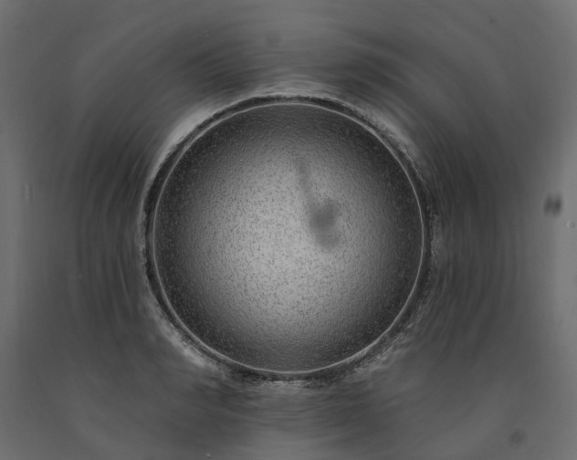 X0000091560990200708241812