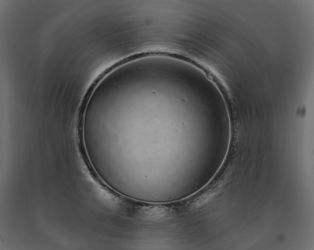 X0000091560991200708241812