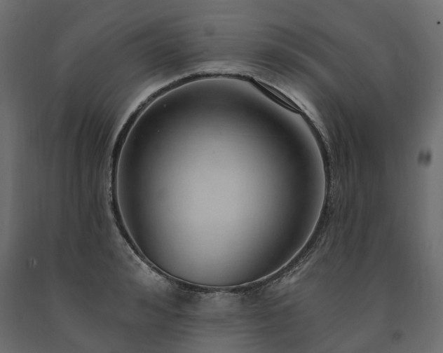 X0000091560992200708241812