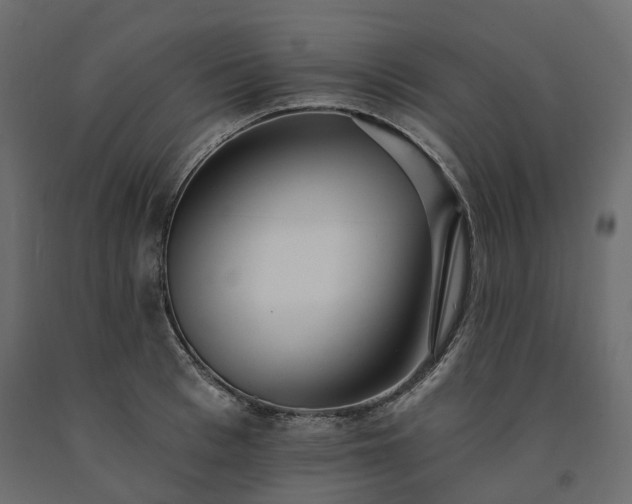 X0000091560993200708241812