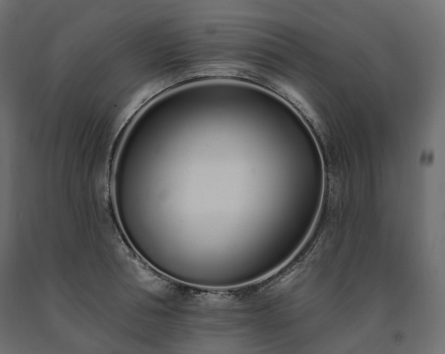 X0000091560994200708241812