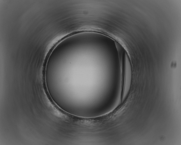 X0000091560995200708241812