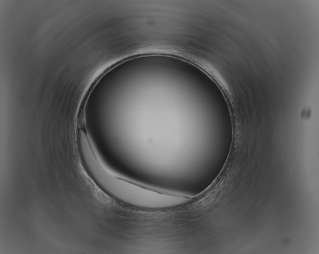 X0000091560996200708241812