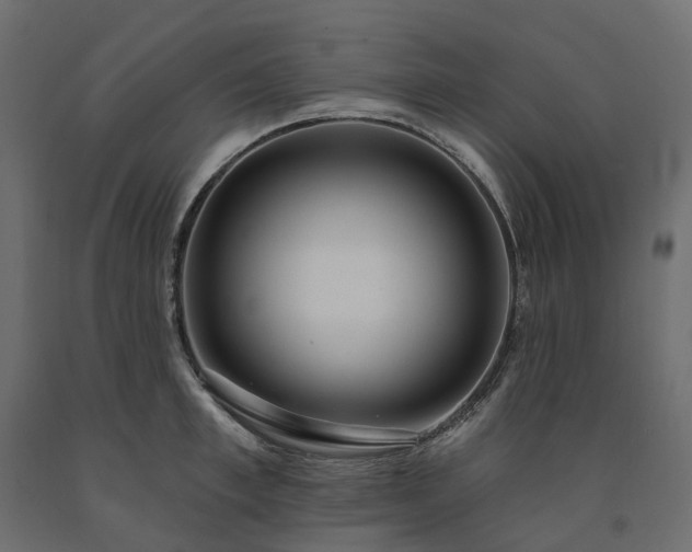 X0000091560997200708241812