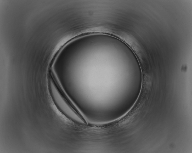 X0000091560998200708241812