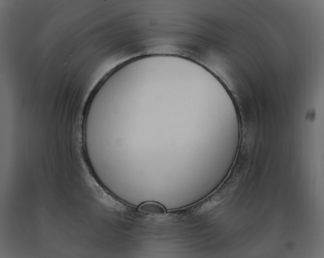 X0000091561000200708241812