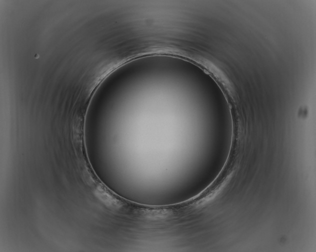 X0000091561001200708241812