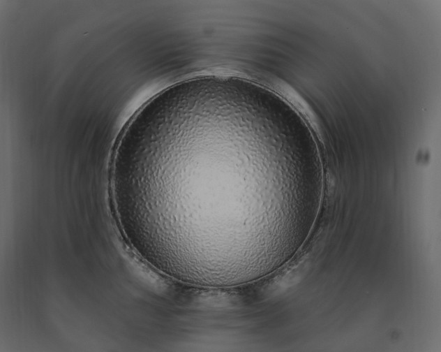 X0000091561002200708241812