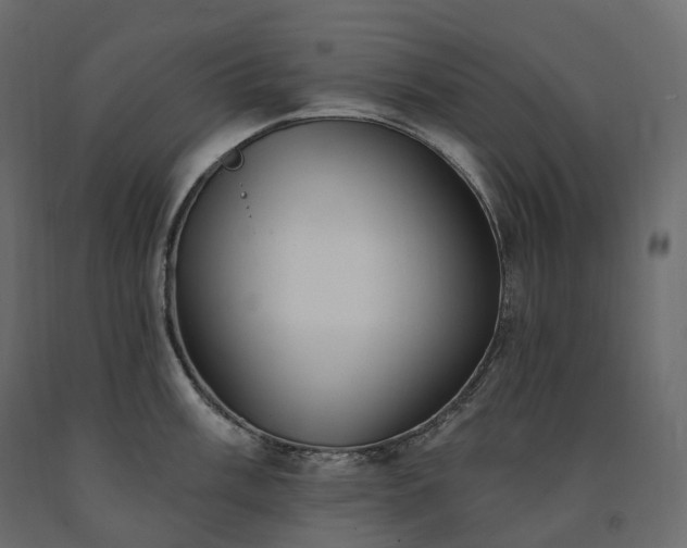 X0000091561003200708241812