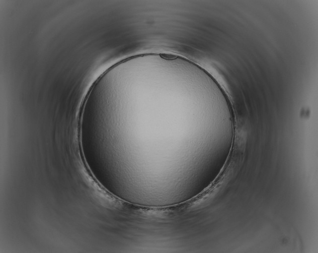 X0000091561004200708241812