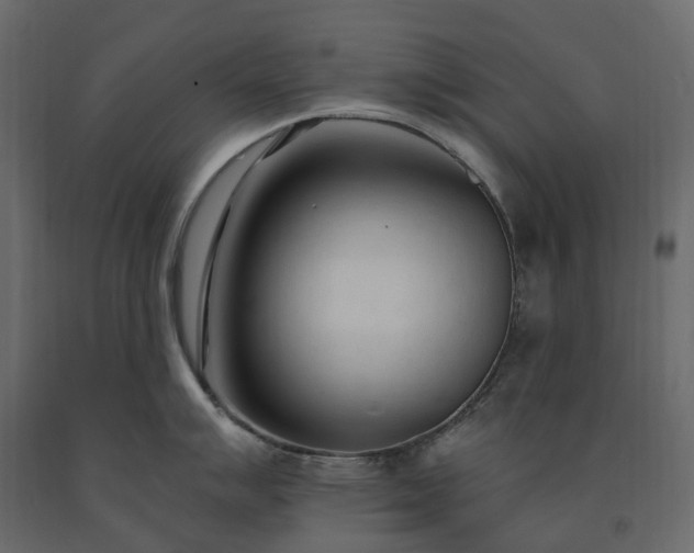 X0000091561007200708241812