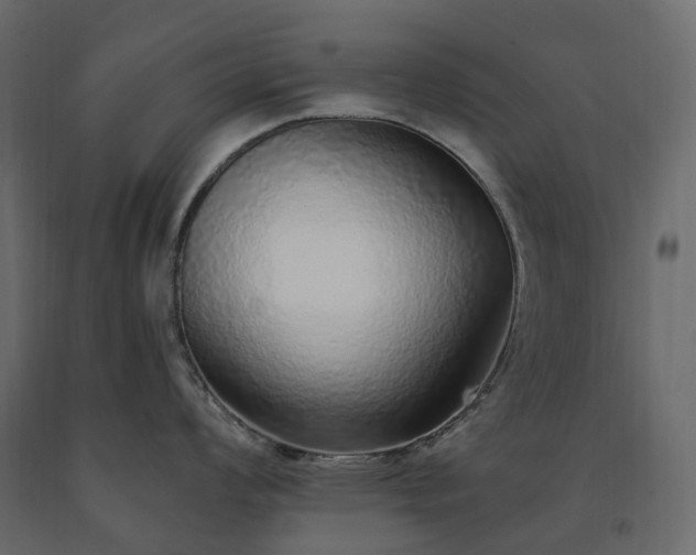 X0000091561008200708241812