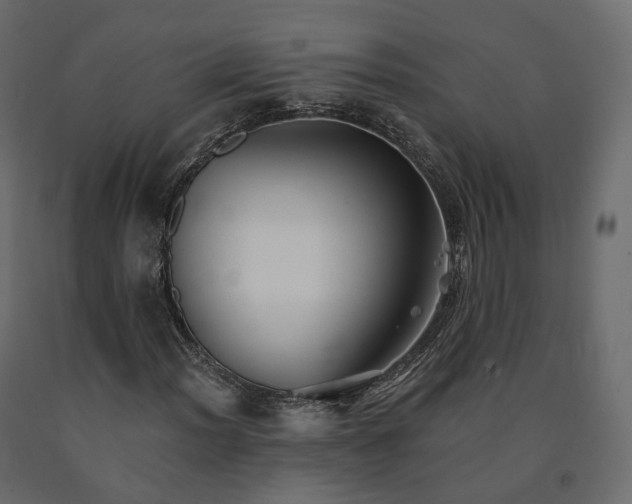 X0000091561012200708241811