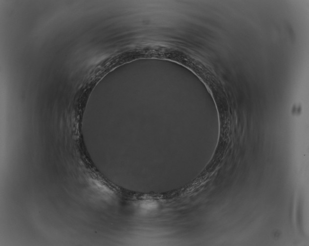 X0000091561013200708241811