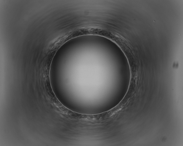 X0000091561014200708241811