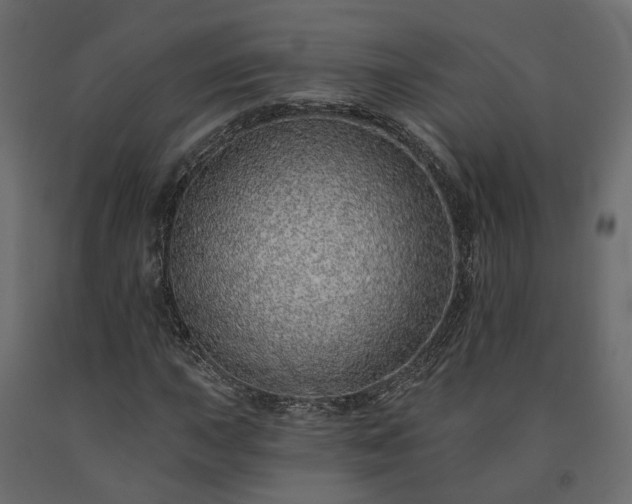 X0000091561015200708241811