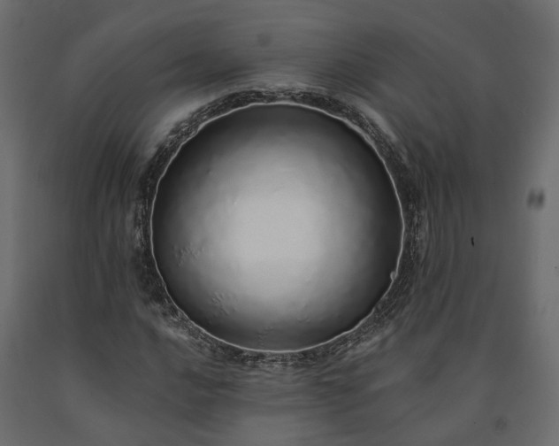 X0000091561016200708241811