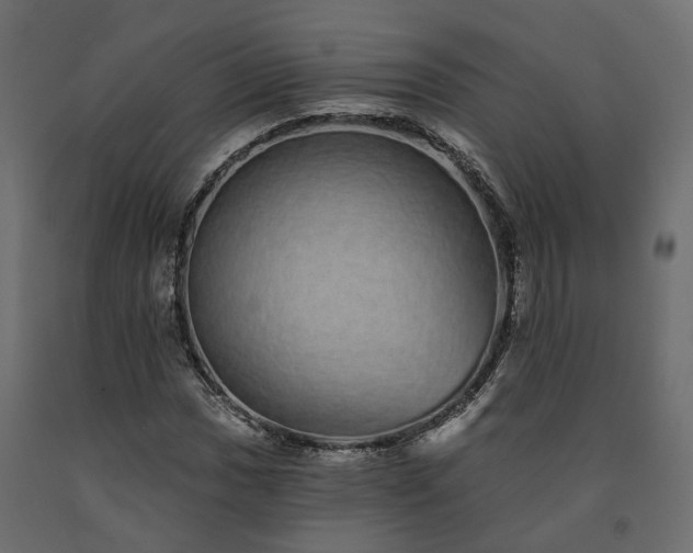 X0000091561017200708241811