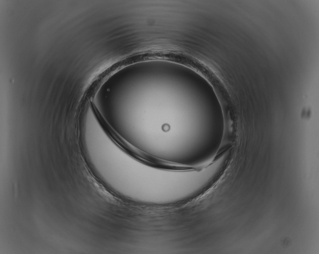 X0000091561018200708241811