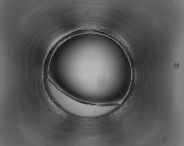 X0000091561020200708241811