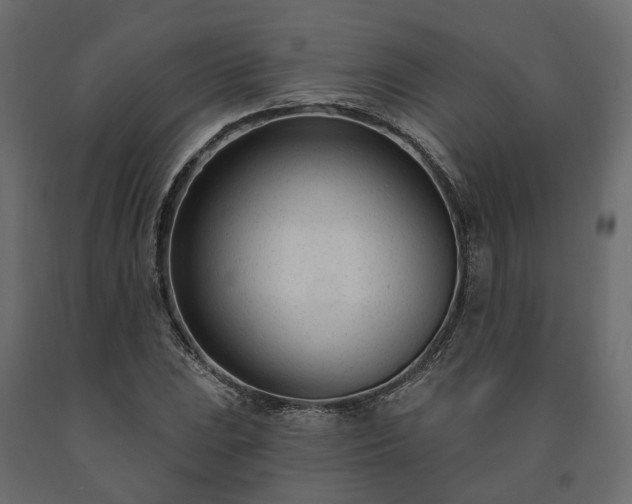 X0000091561023200708241811