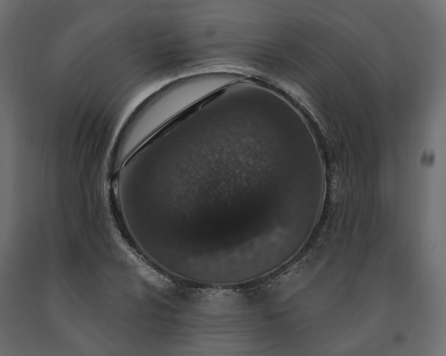 X0000091561024200708241811