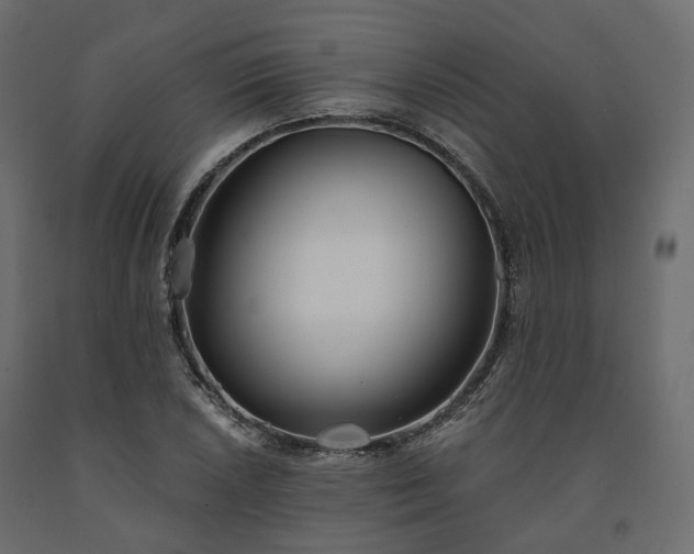 X0000091561026200708241811