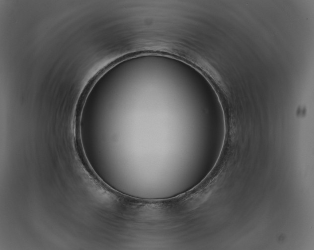 X0000091561028200708241811