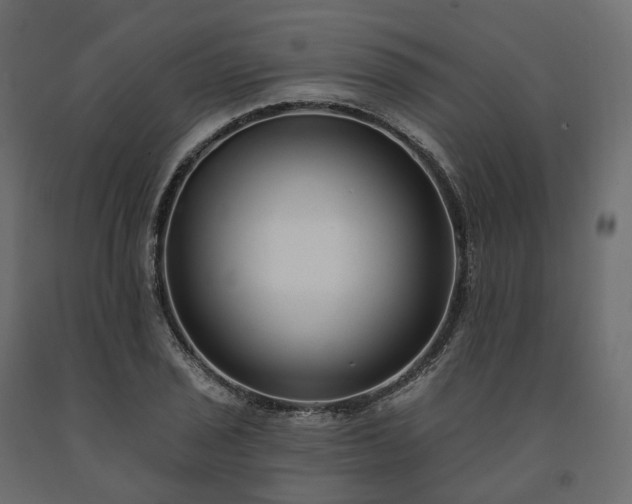 X0000091561029200708241811