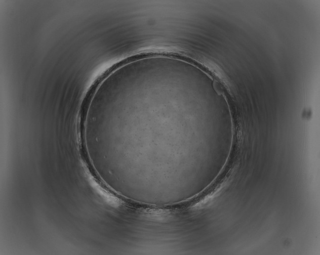 X0000091561030200708241811