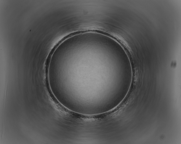 X0000091561031200708241811