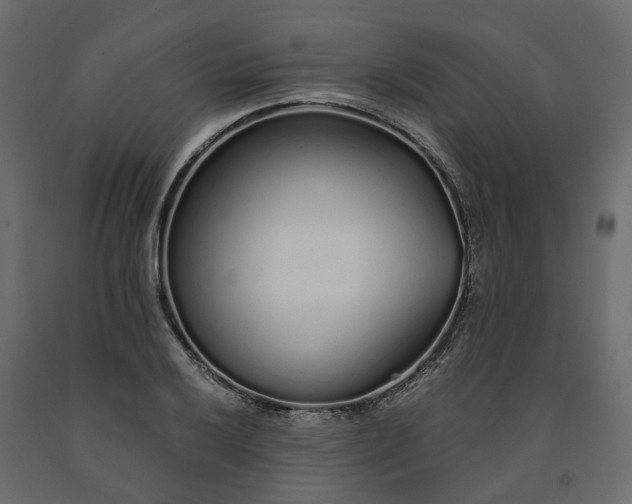 X0000091561032200708241811