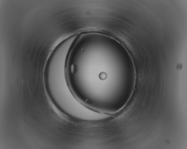 X0000091561034200708241811